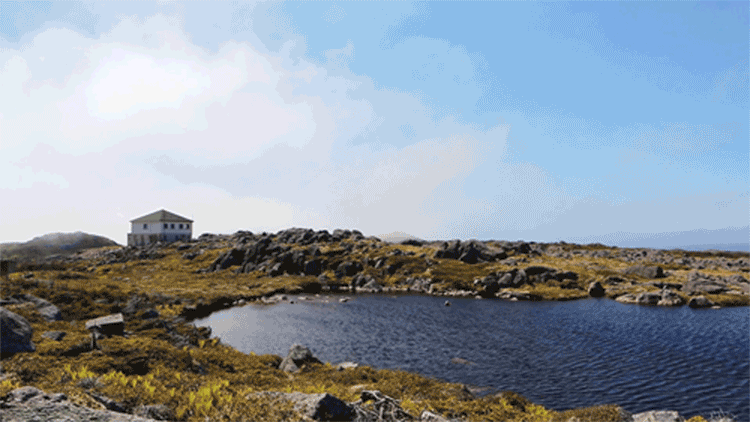 Inmobiliaria